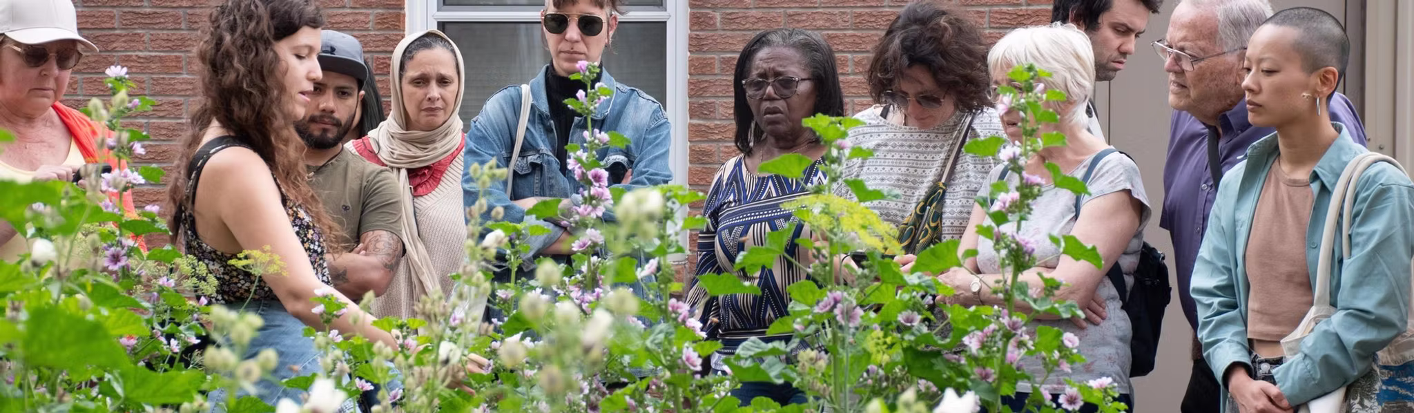 Jardins communautaires à la recherche de bénévoles pour la saison